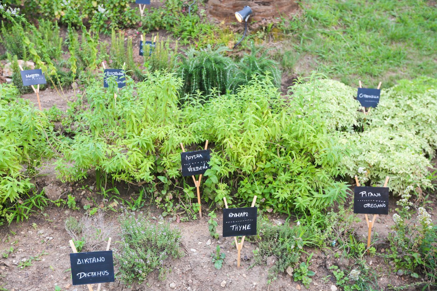 Mandraki-Village--General-view-30