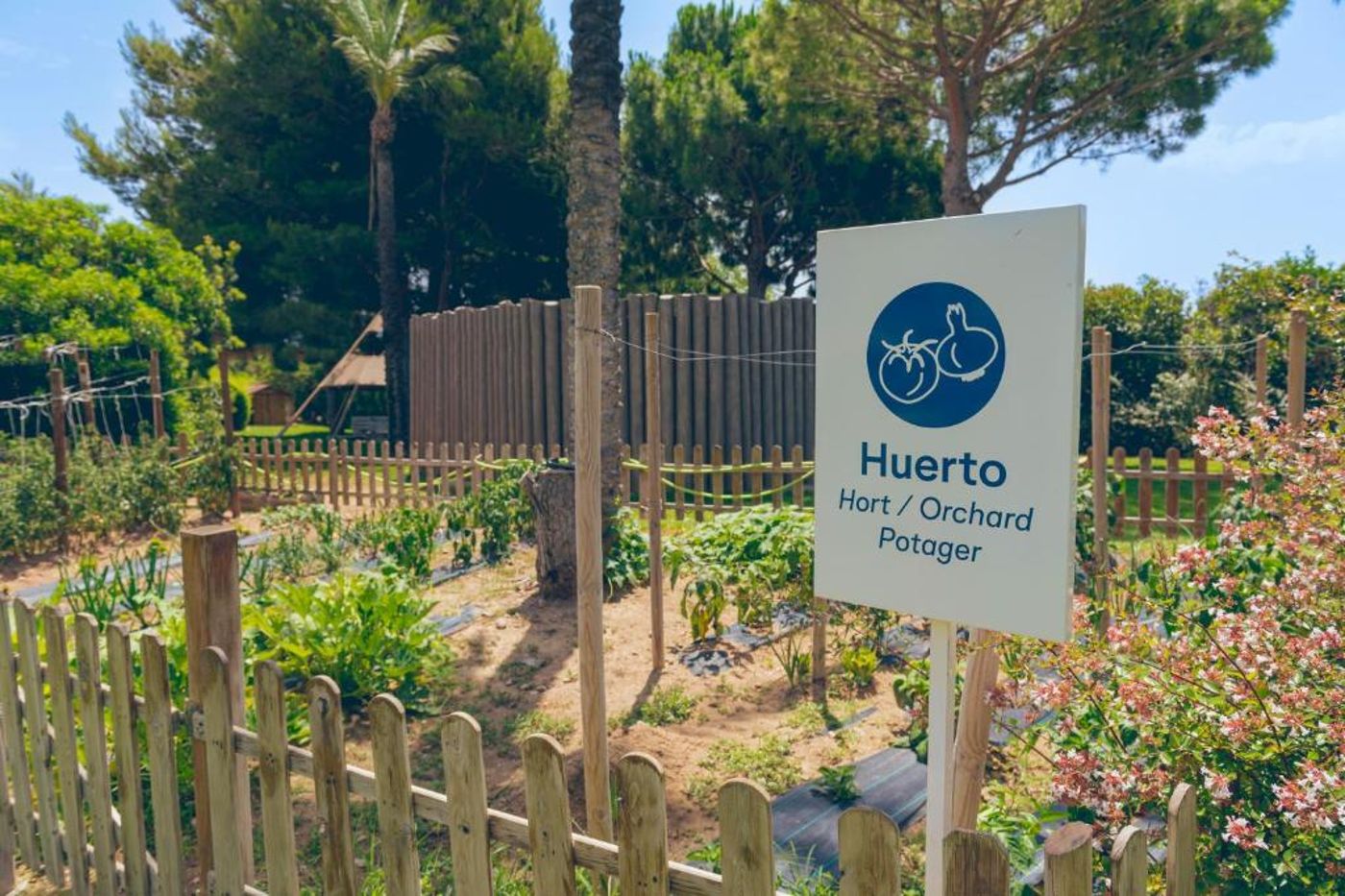 Pierre---Vacances-Bonavista-de-Bonmont-Sports-and-Entertainment-66