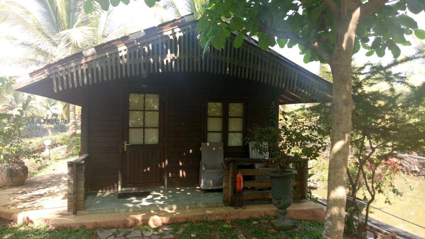 Primo Bom Terra Verde