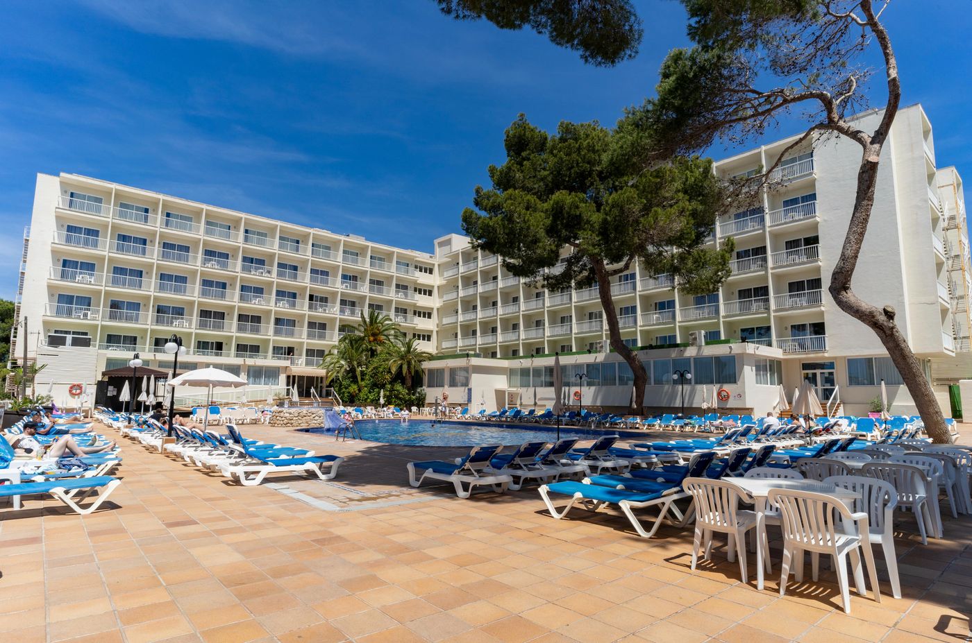 Moon Dreams Coral Beach