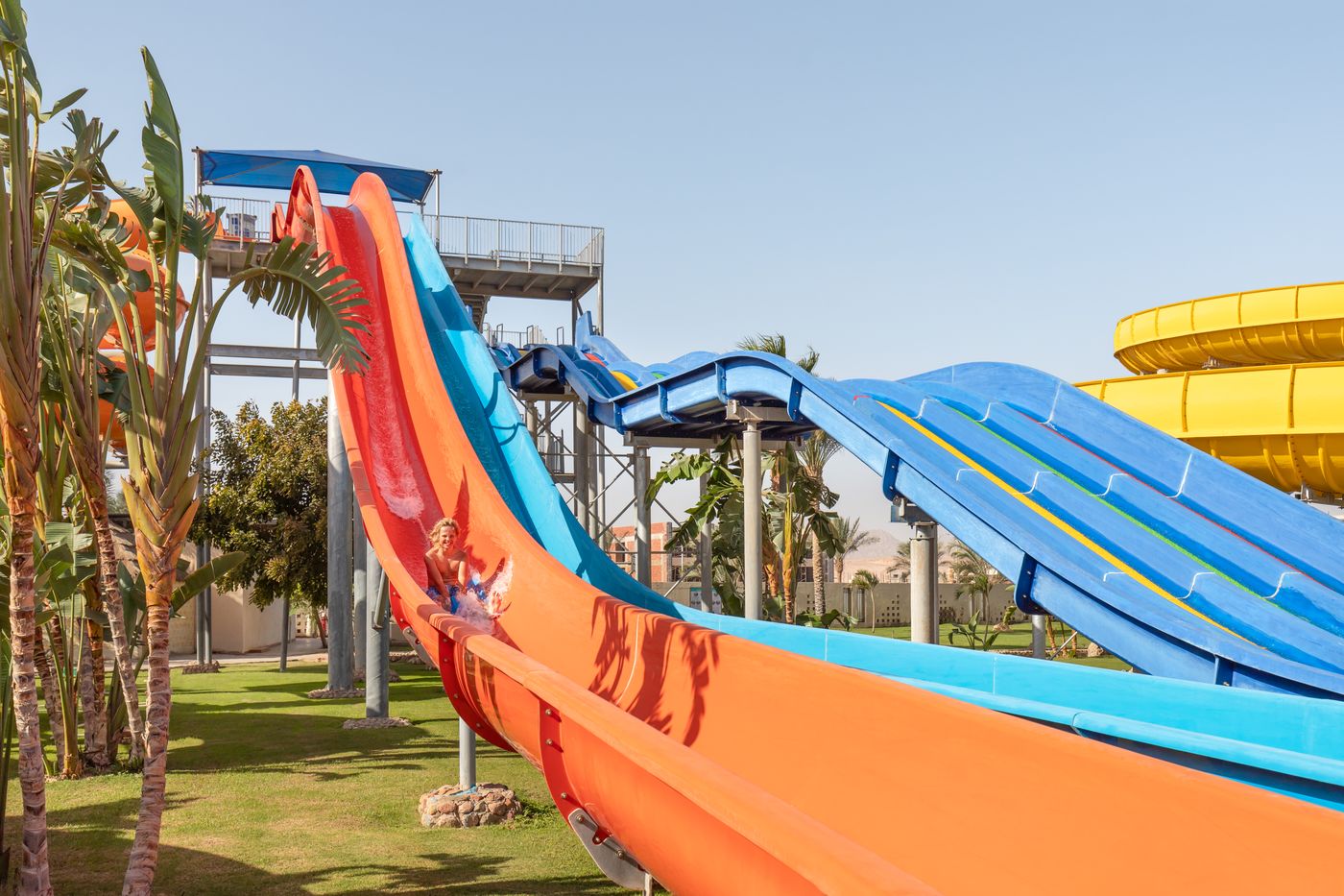 Royal Albatros Moderna