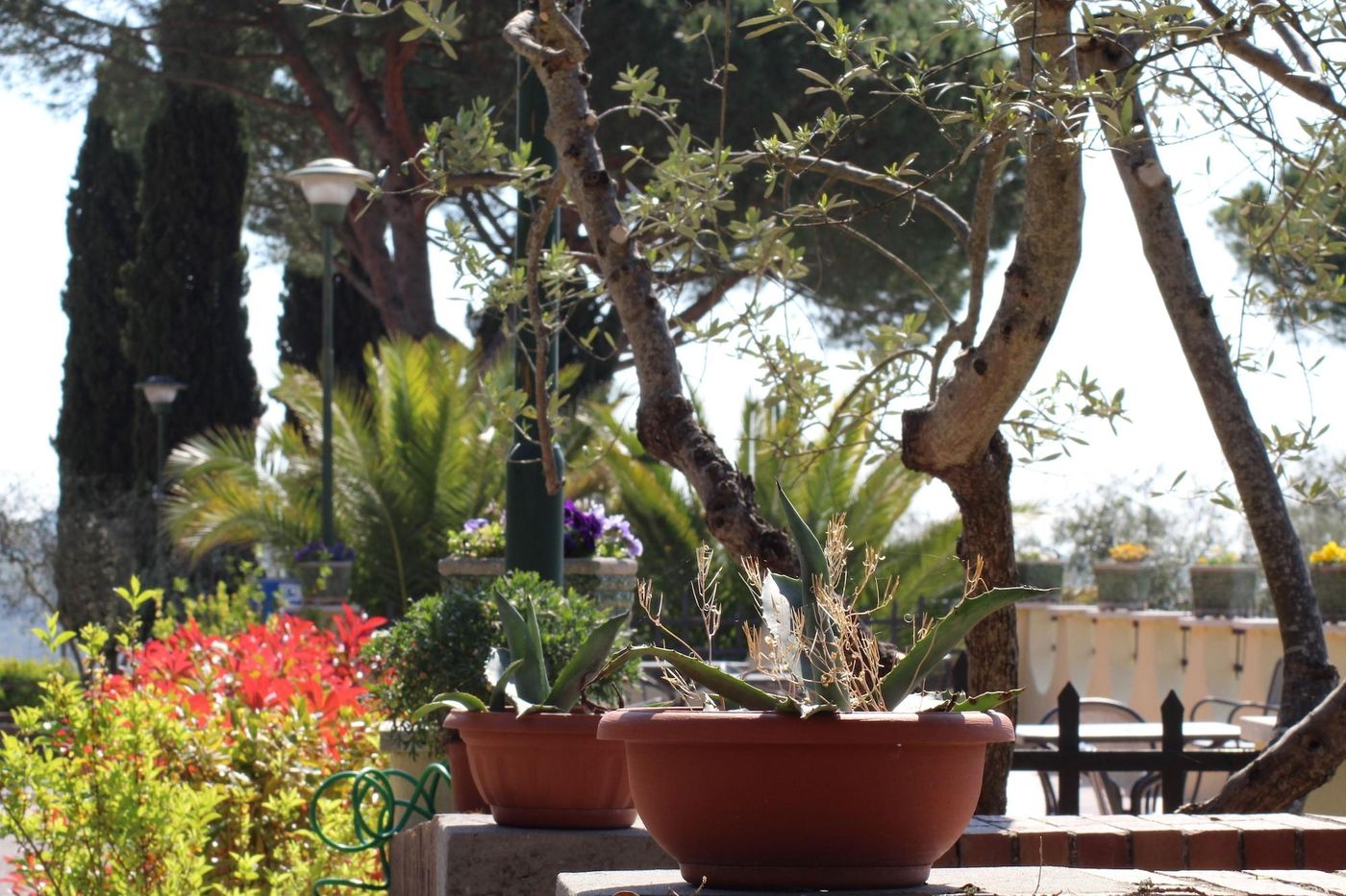La Loggia Villa Gloria-Italy-QUERCEGROSSA-General view-6