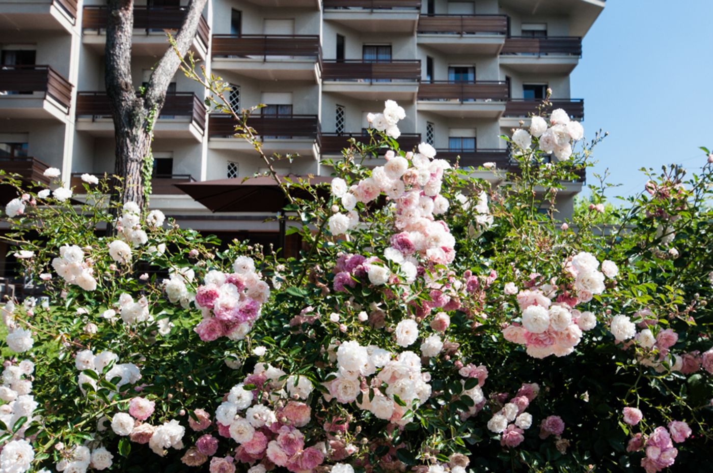 Michelangelo---Spa-General-view-65