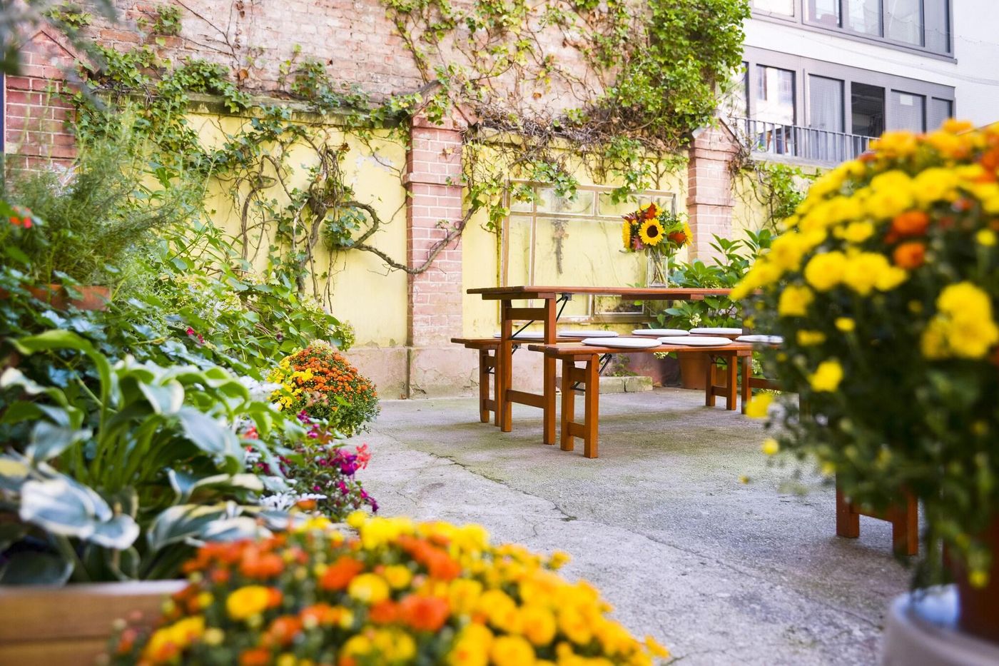 Old-Town-Hotel-Greifswalder-Strasse-Terrace-26