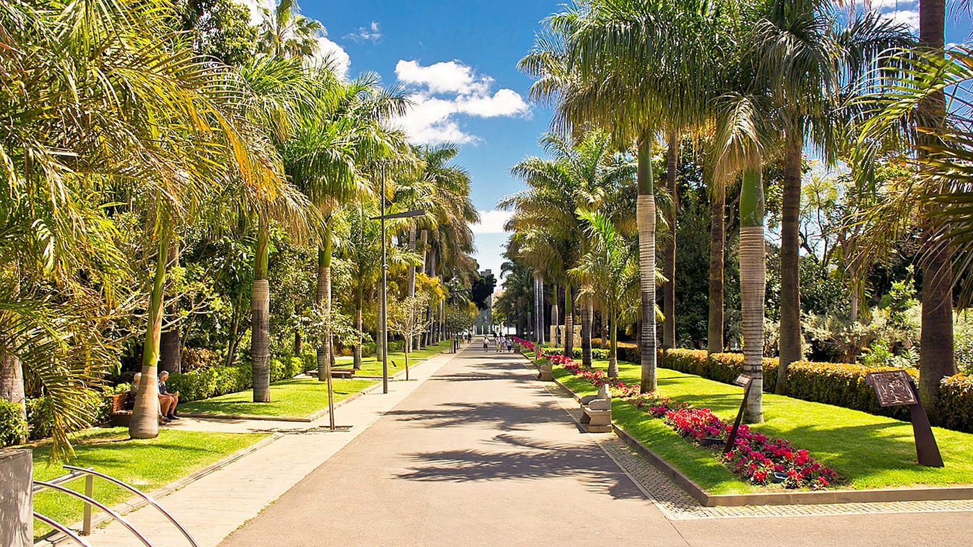 Adonis-Pelinor-Sports-and-Entertainment-5