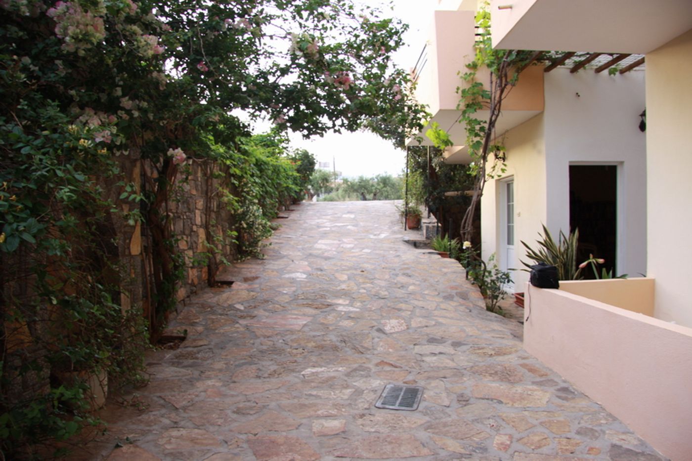 Argyro Studios and Apartments