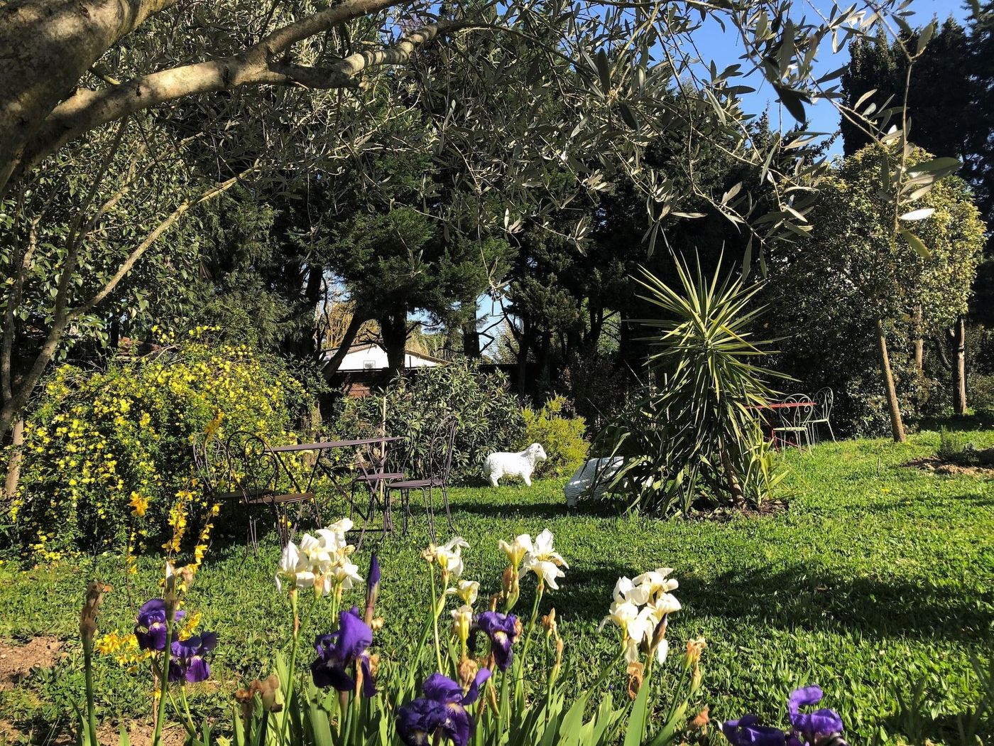 Aux Belles Vacances B B Only Adults-France-Caux-et-Sauzens-General view-6