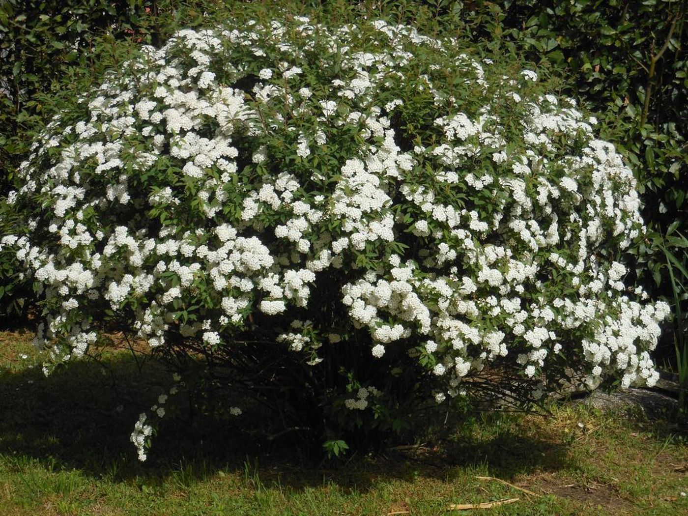 Bed-And-Breakfast-La-Corte-General-view-8