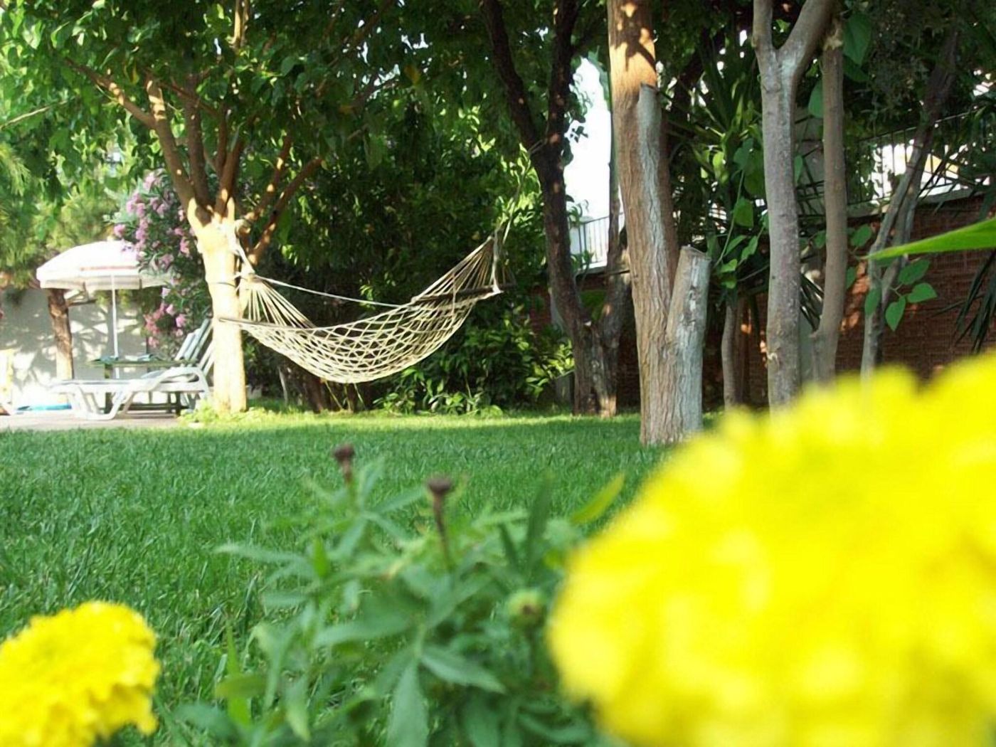 Vanilla-General-view-21