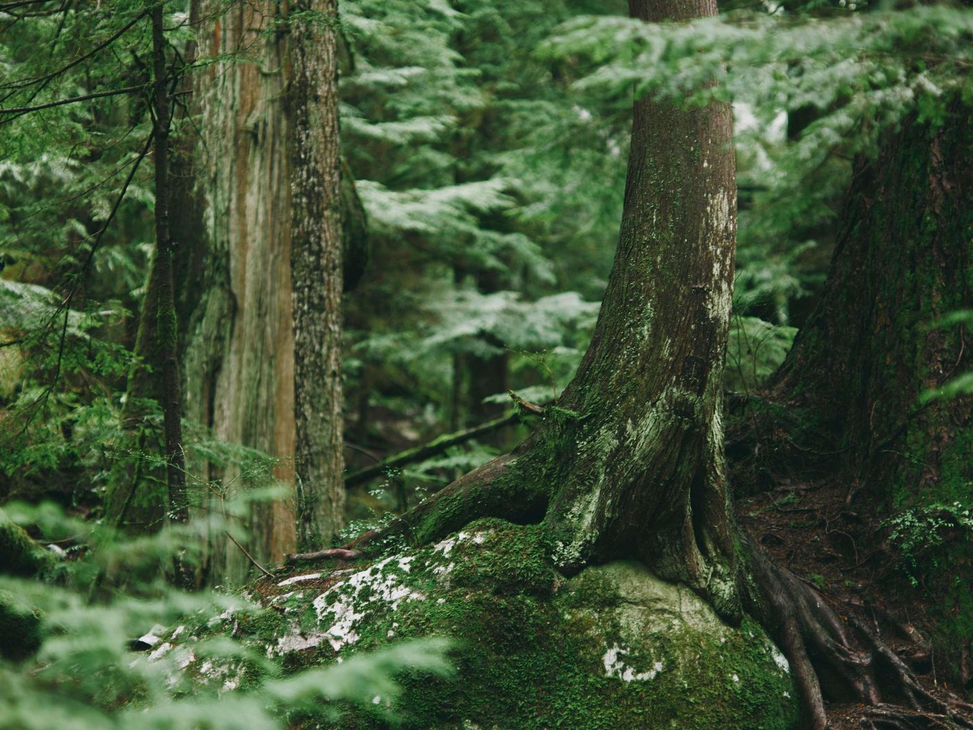 Fairmont-Vancouver-Sports-and-Entertainment-97