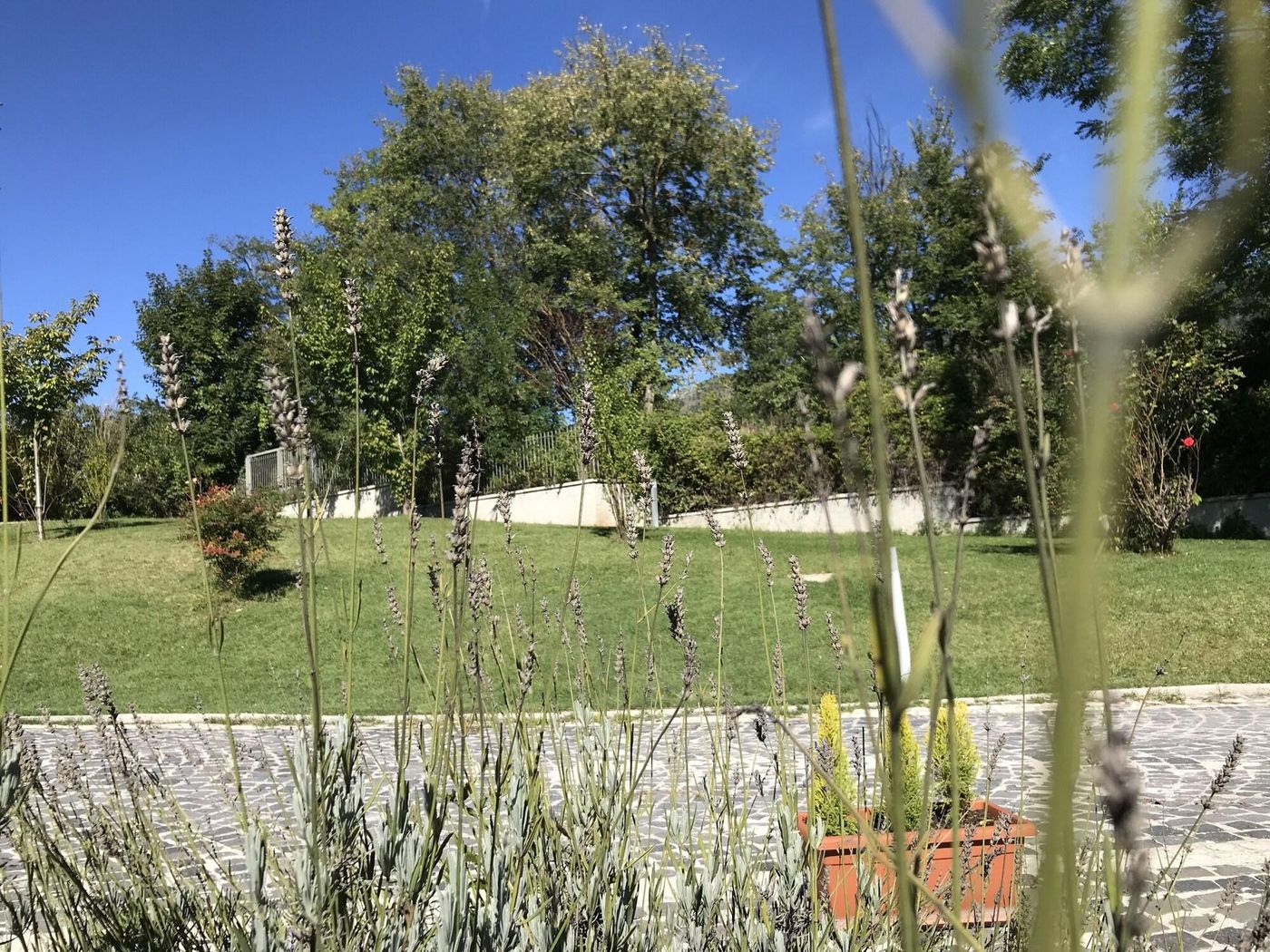 Oasi-Del-Vetoio-General-view-23