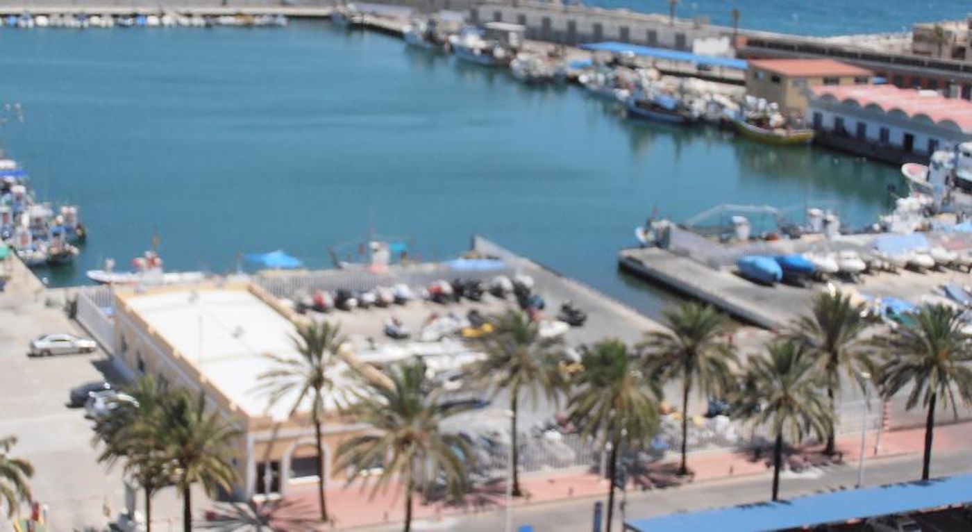 Las-Palmeras-General-view-56