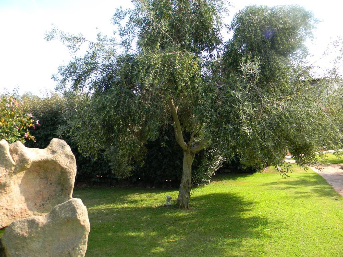 Hotel-Relais-Fenicottero-Rosa-General-view-14