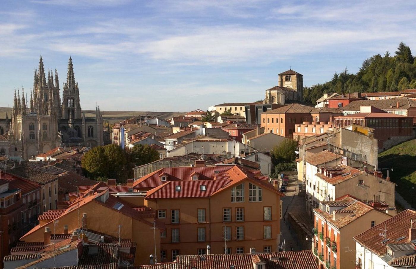 Rice Palacio de los Blasones-Spain-BURGOS-General view-5