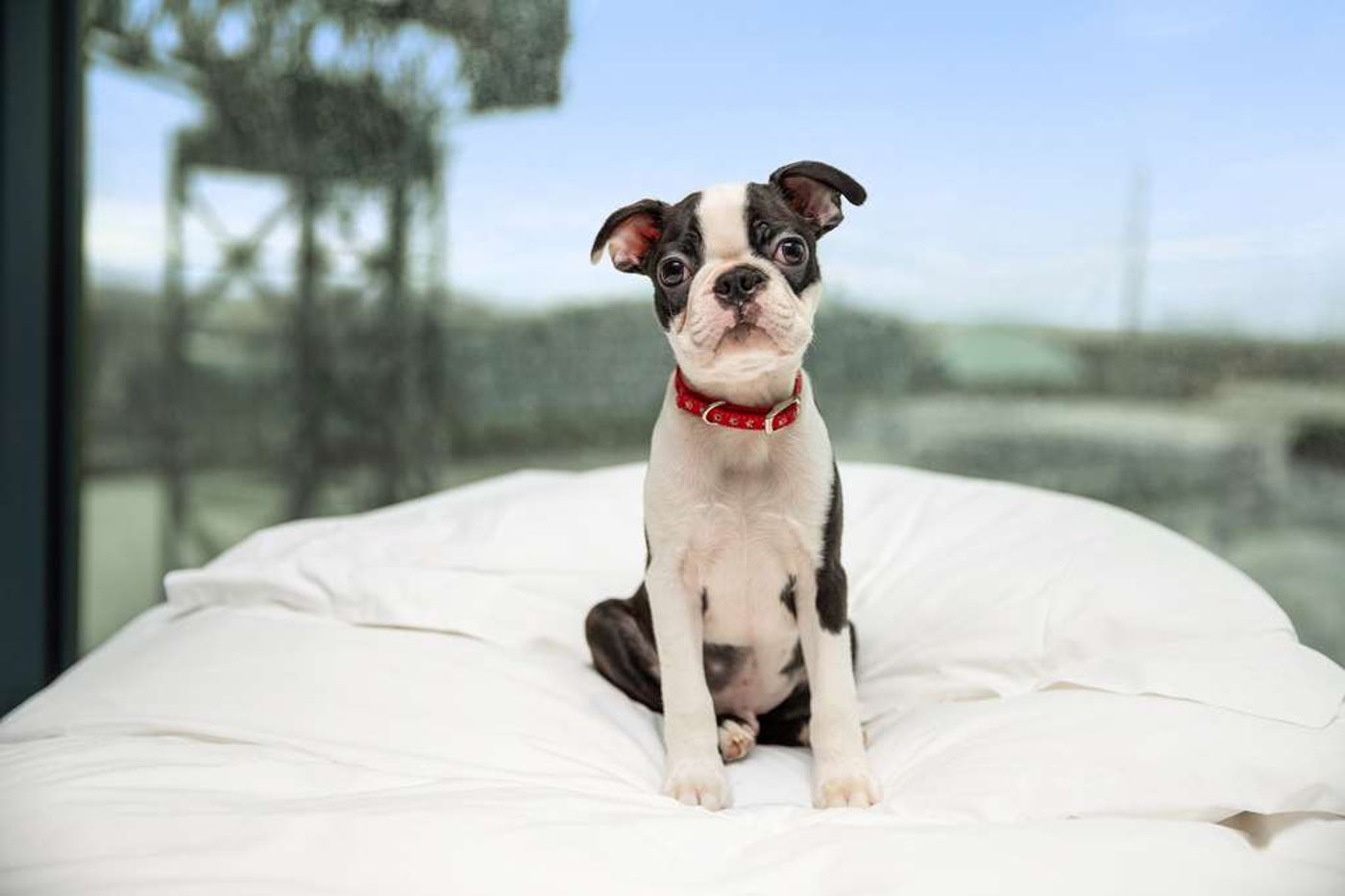 Radisson RED Hotel, Glasgow-United Kingdom-Glasgow-General view-6