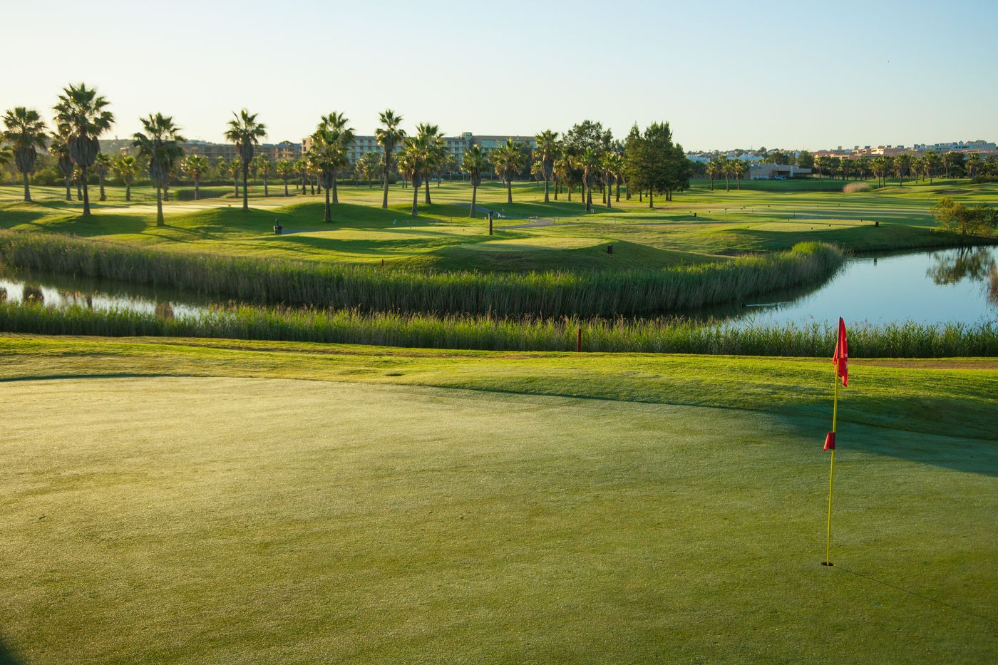 Salgados Palm Village