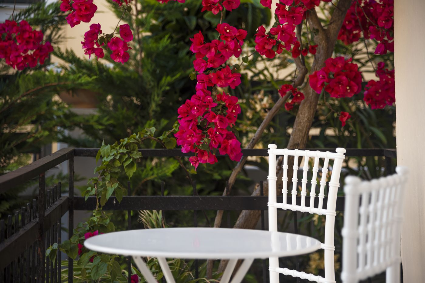 ELE-NAS-bohotel---Annex-Apartments-Room-18