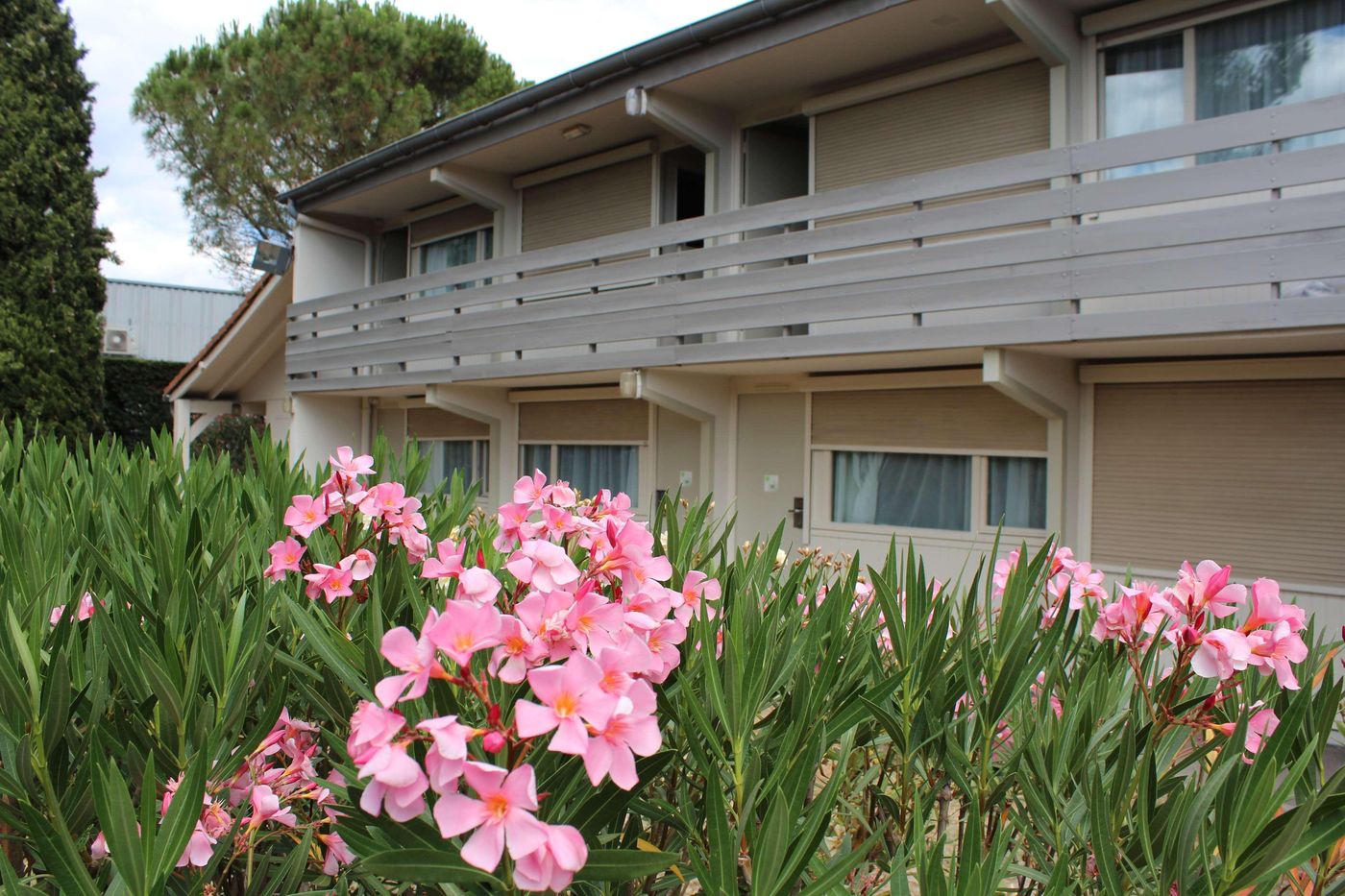 B&B HOTEL Avignon Sud Parc des Expositions-France-MONTFAVET CEDEX-General view-5