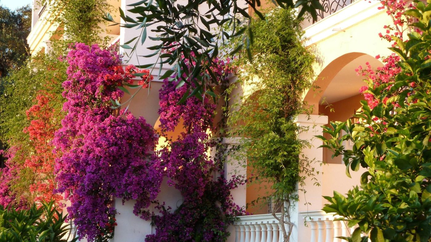 Nefeli-General-view-24