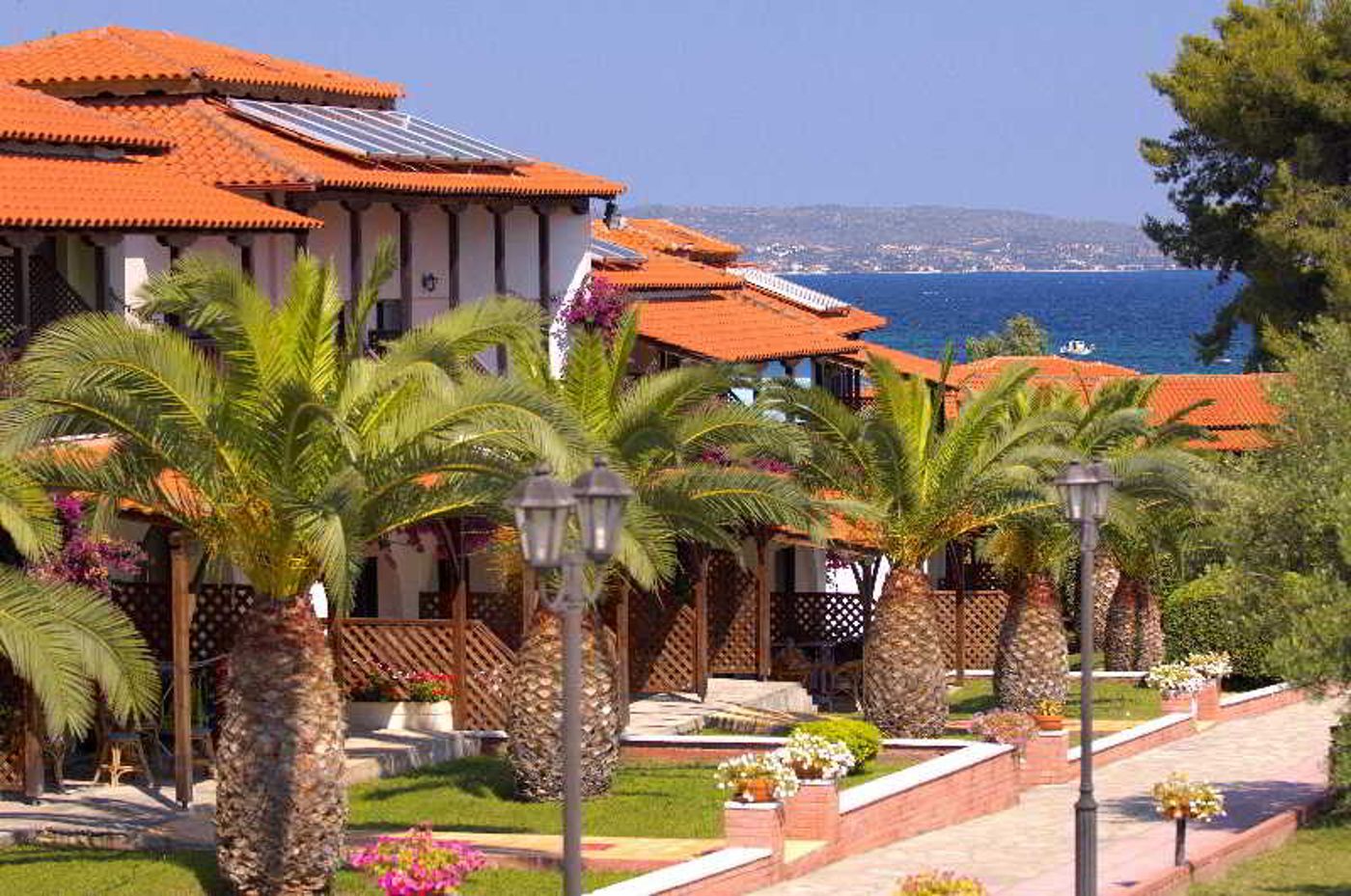 Blue-Dolphin-General-view-6