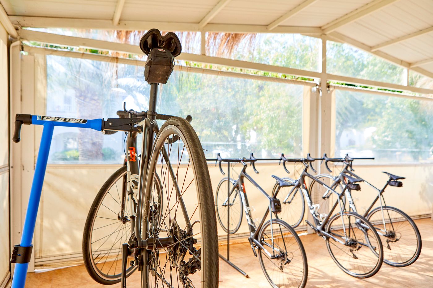 Sea Club Mediterranean Resort