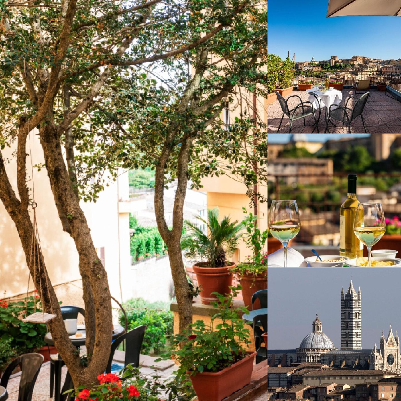 Minerva-General-view-63