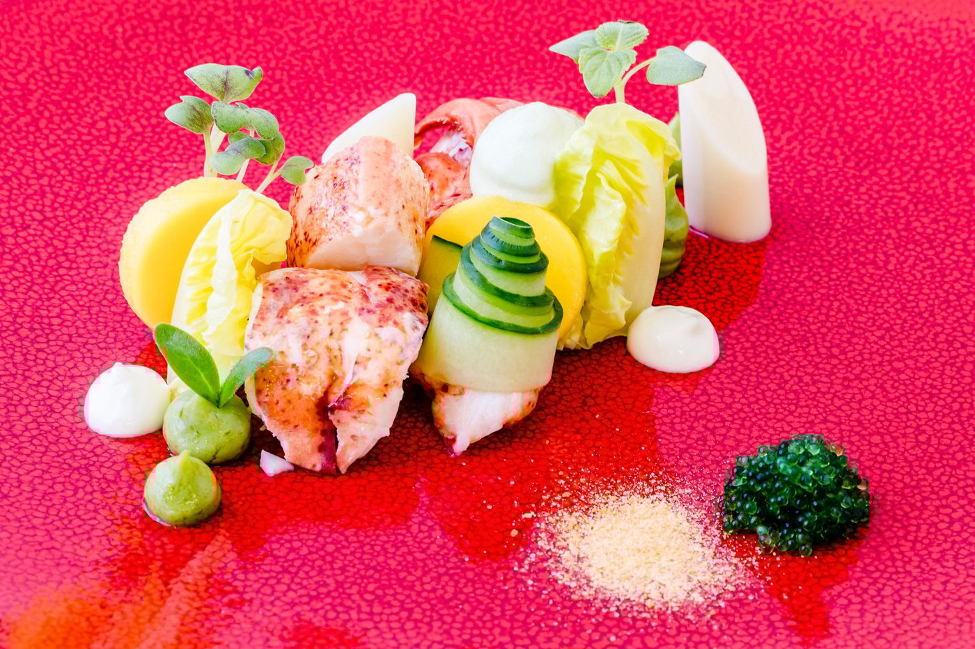 Radisson-Blu-Amsterdam-Airport-Restaurant-59