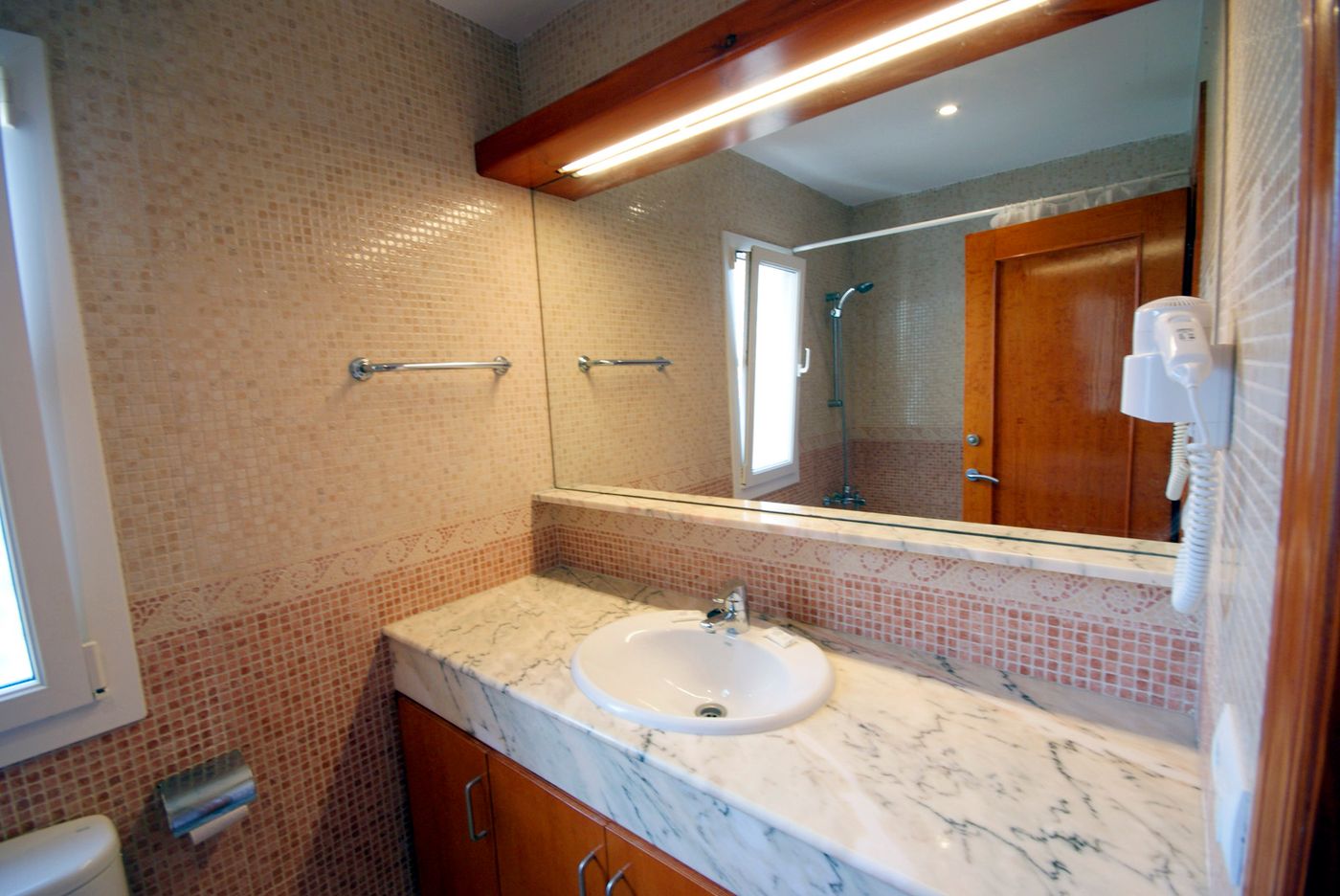 Begonias-General-view-13