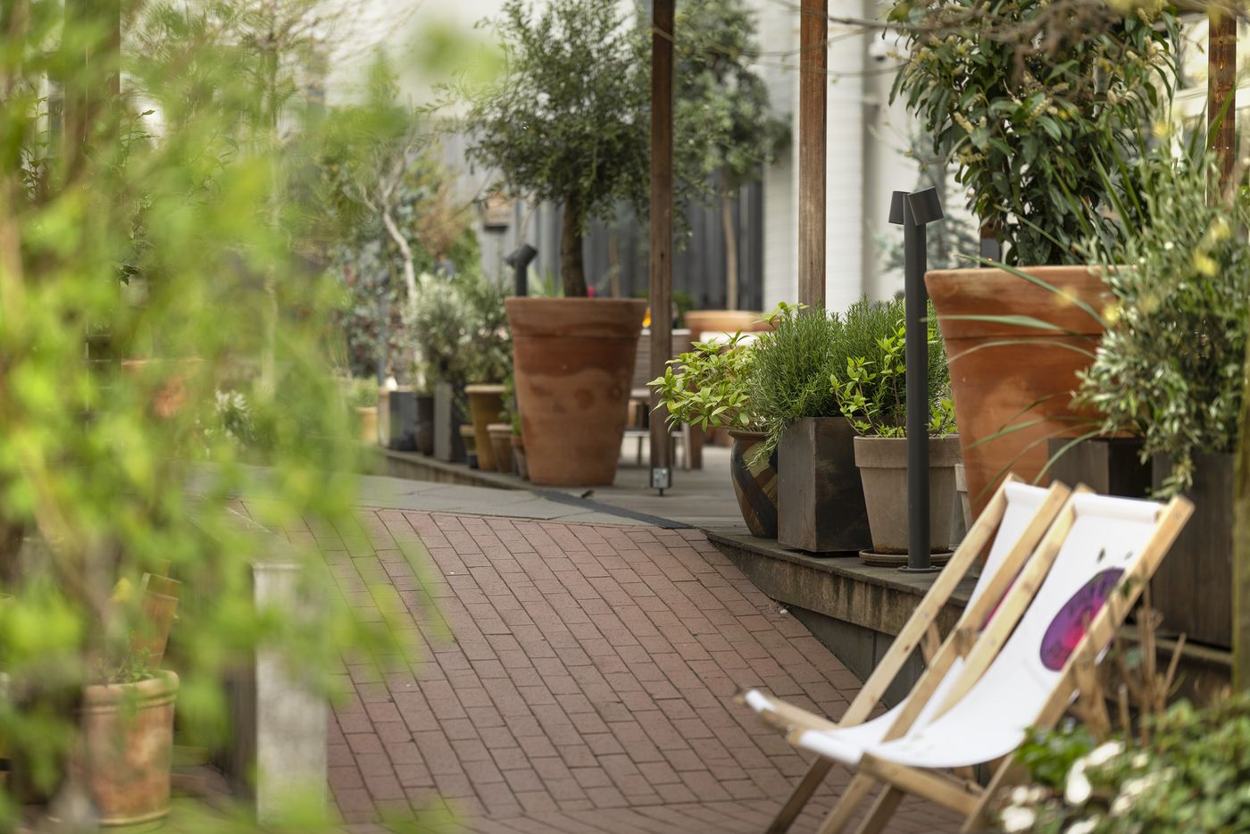 Hotel Mayfair - Denmark - COPENHAGEN - Terrace - 1