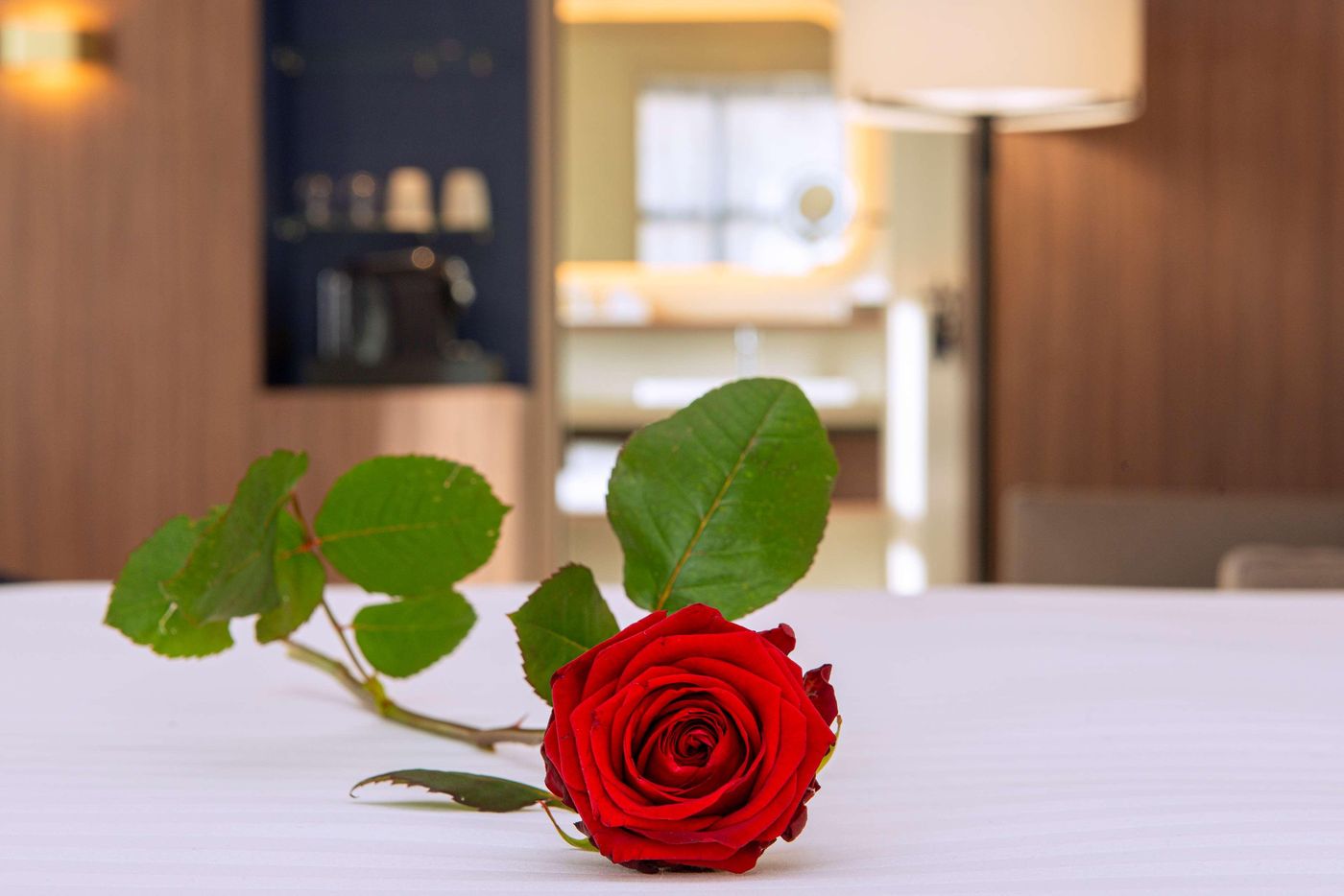 Radisson Blu Hotel Rouen Centre-France-ROUEN-General view-5