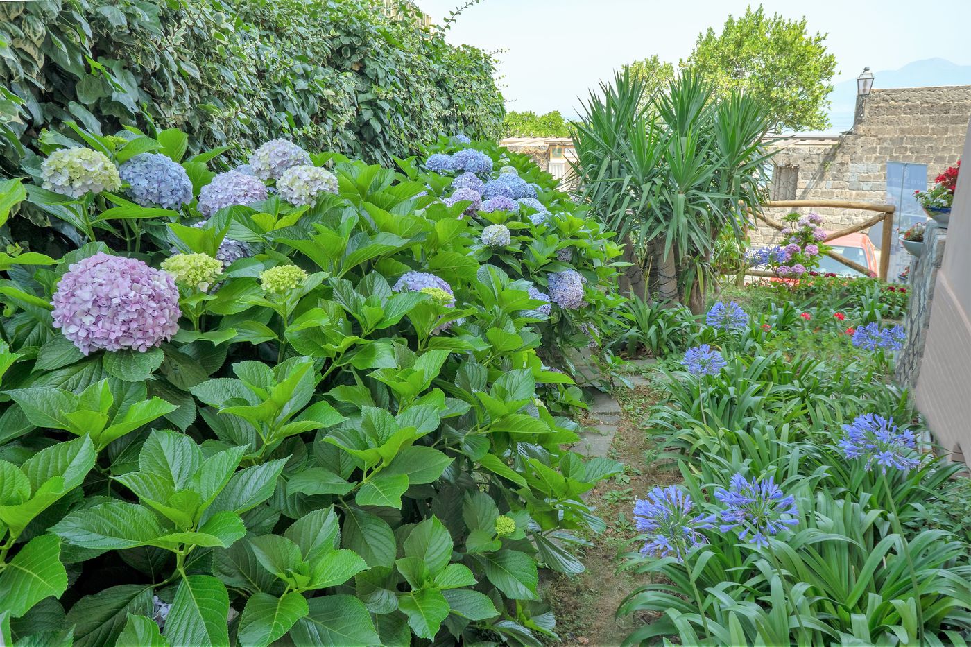 Hotel Regina Sorrento-Italy-SORRENTO-General view-3
