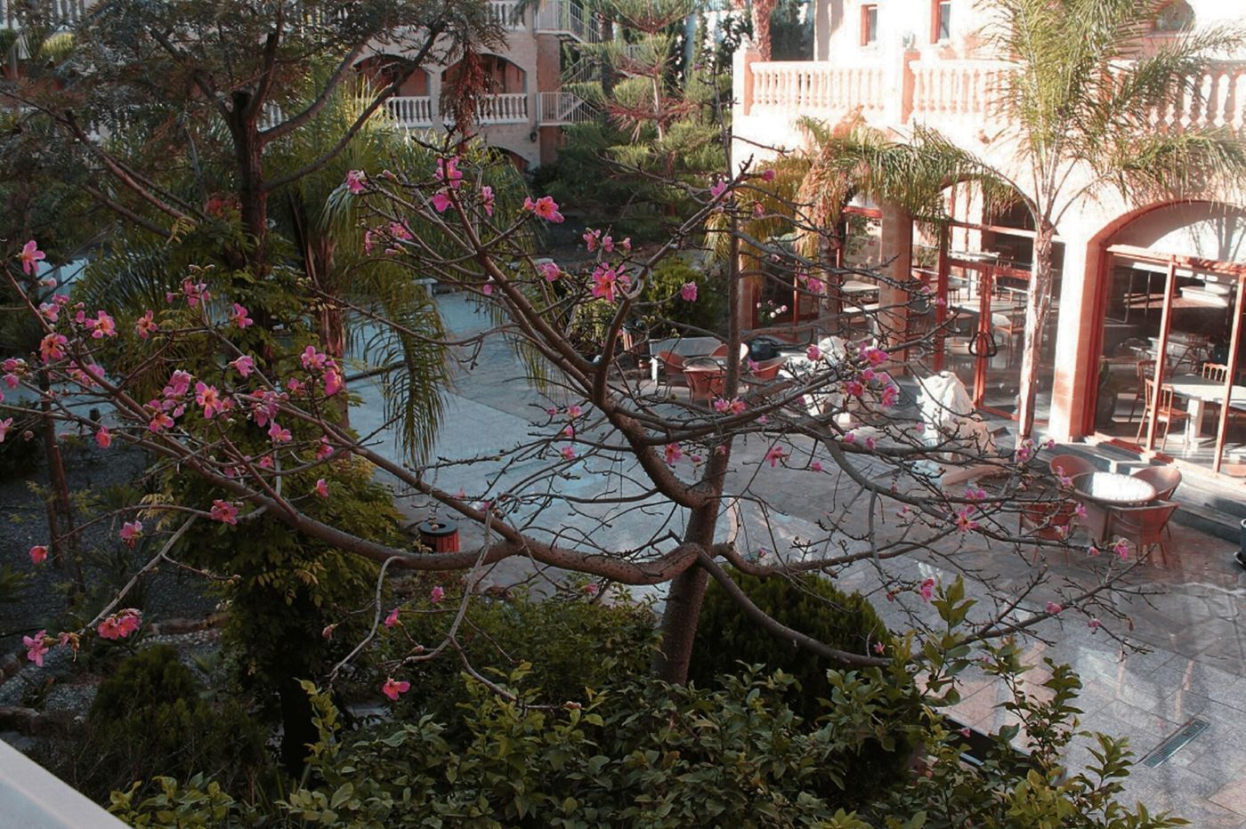 Hotel-Plaza-del-Castillo-Terrace-8