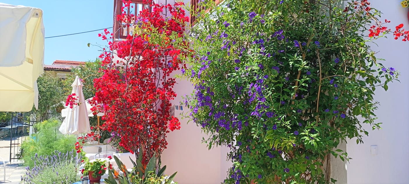 Amalthia-Studios-General-view-3