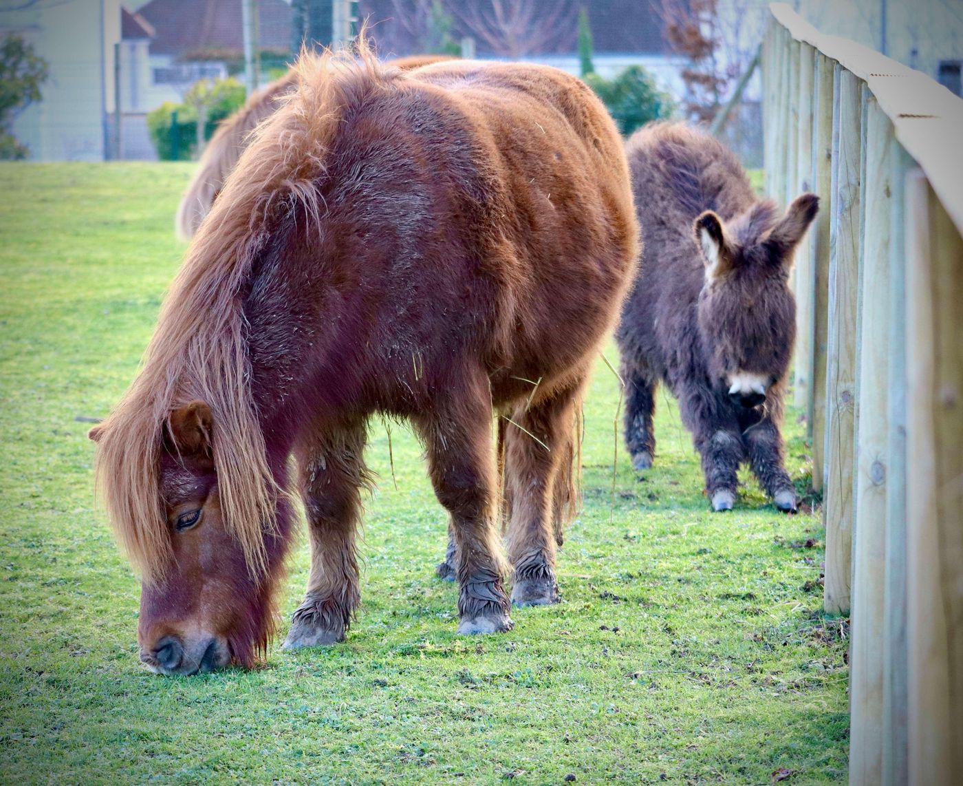 Campanile-Val-de-France-Ex-Kyriad-Disneyland-General-view-56