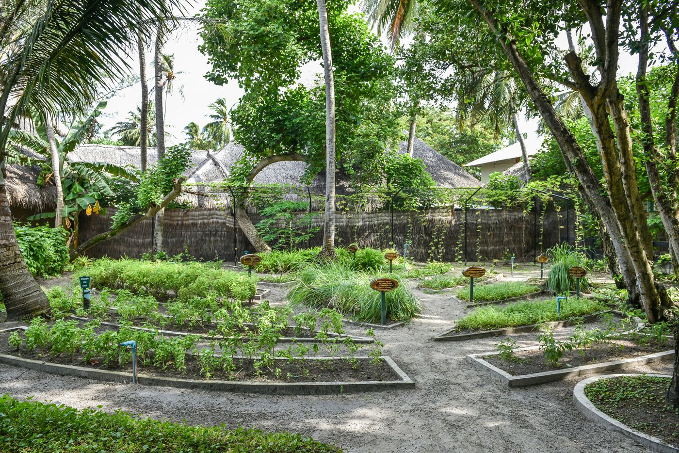 Adaaran Club Rannalhi