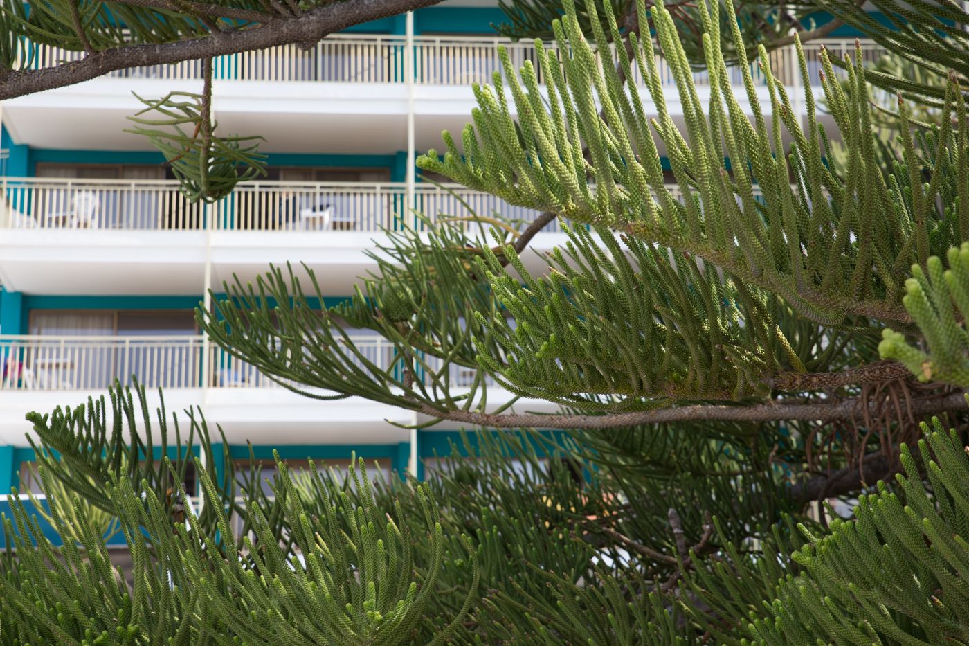 Almirante-General-view-23