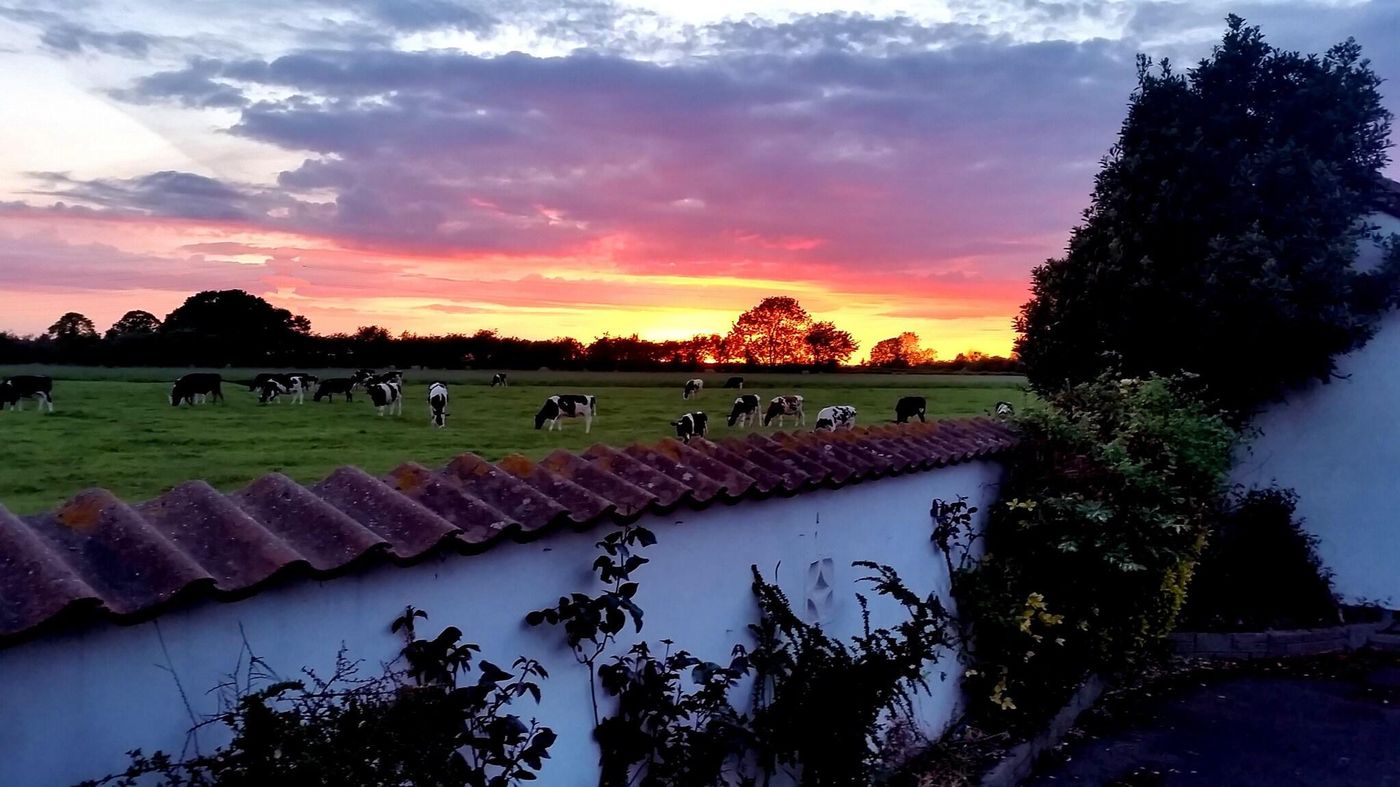 Milton's Lodge-United Kingdom-Langford-General view-2