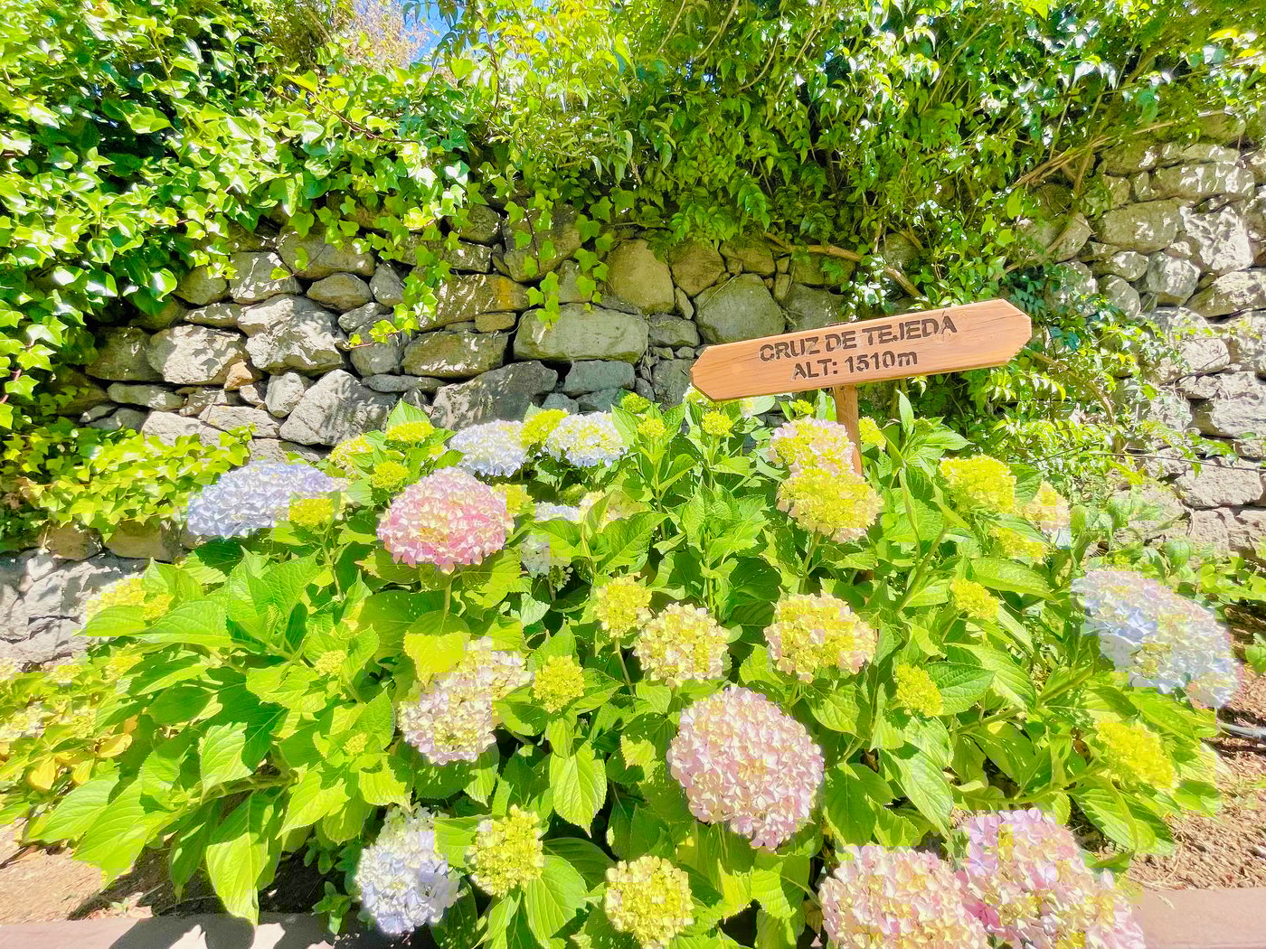 El-Refugio-Terrace-63