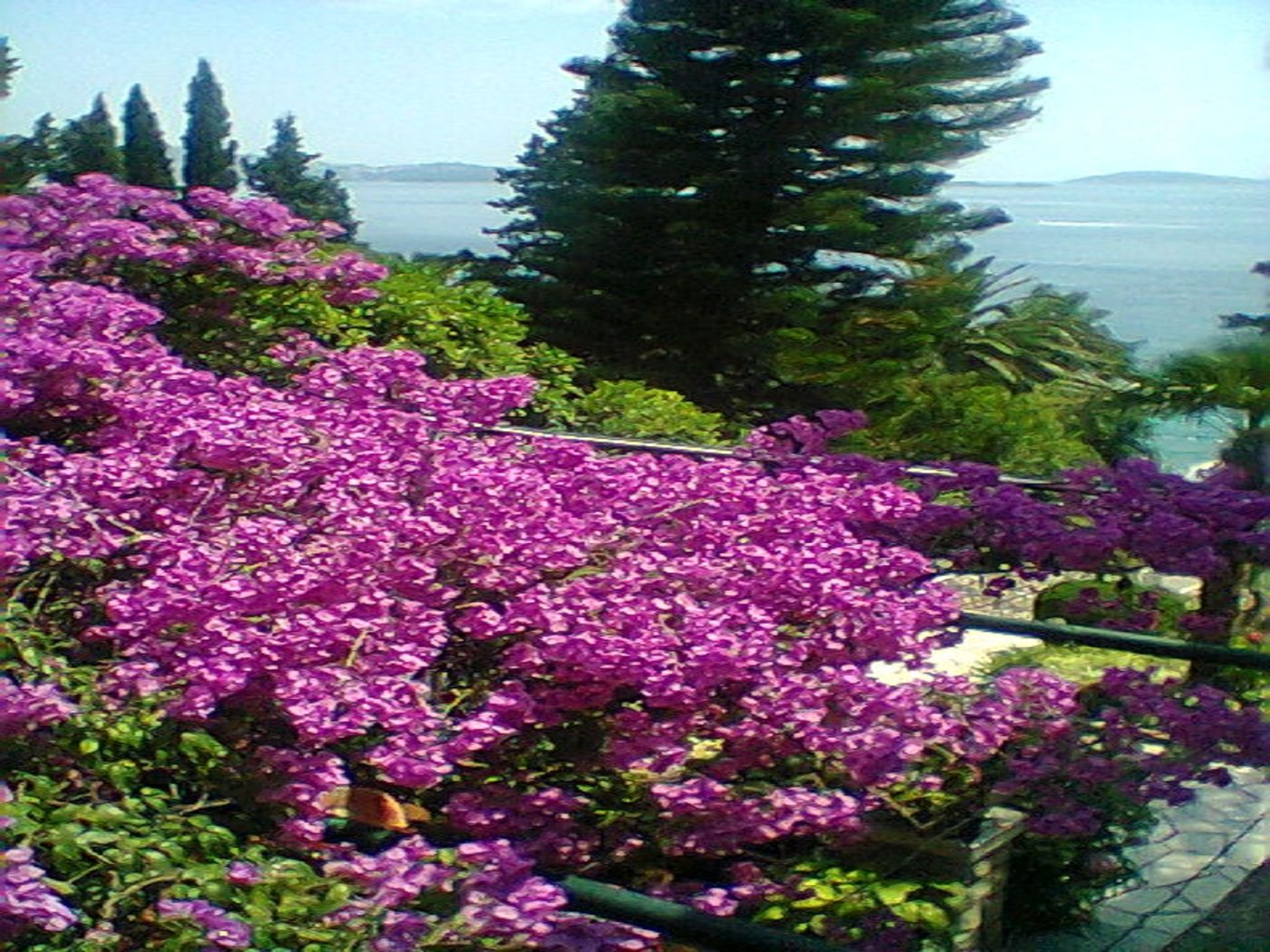 Guest-House-Villa-Nina-Room-48