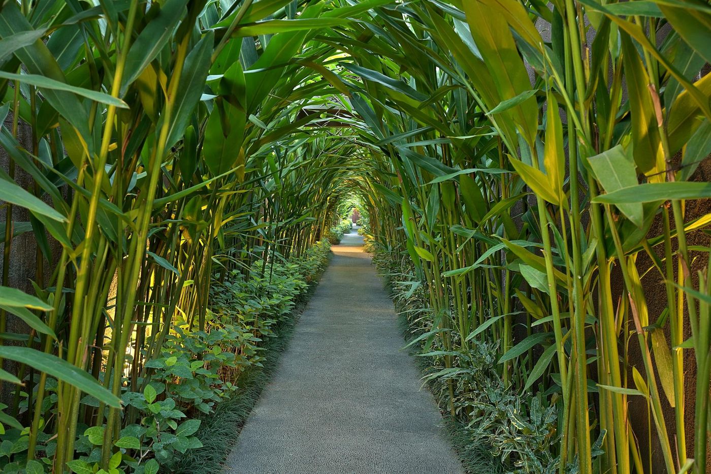 Ziva A Boutique Villa-Indonesia-BALI-General view-3