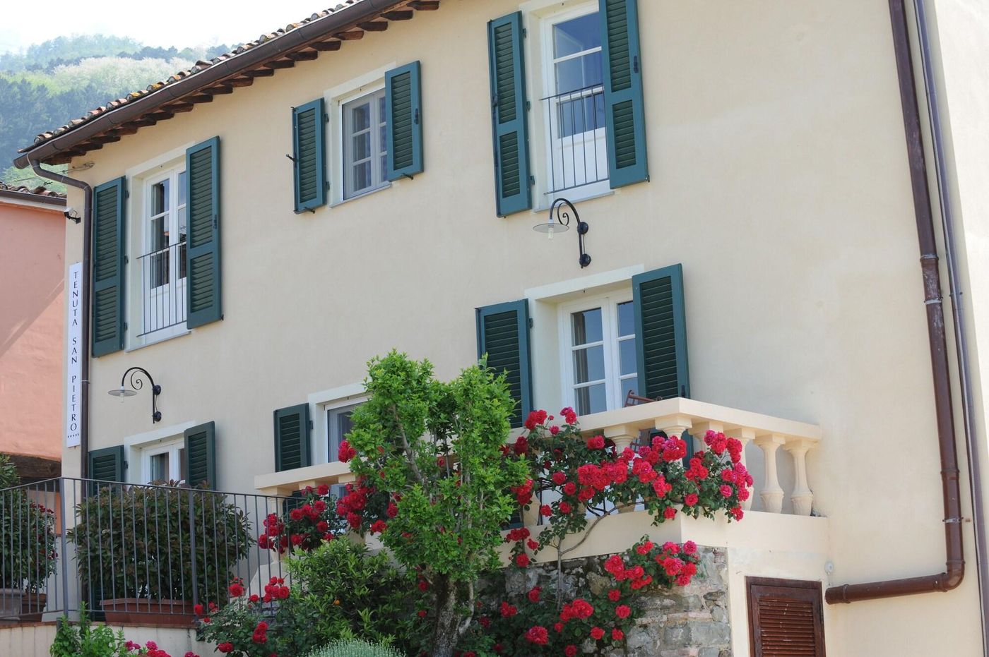 Tenuta-San-Pietro-General-view-2