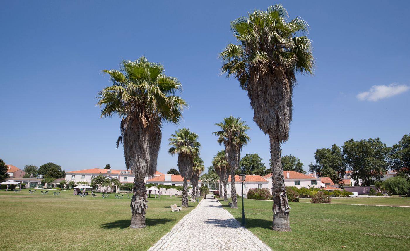 Turim-Club-D-Azeit-o-Hotel-General-view-28