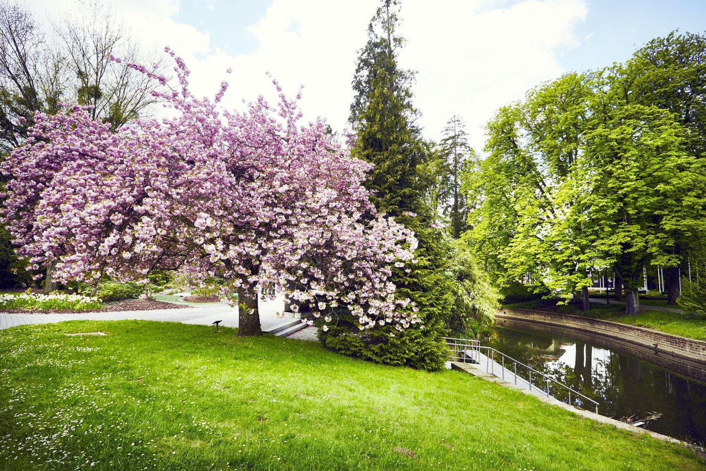Mondorf Parc Hôtel Superior-Luxembourg-MONDORF-LES-BAINS-General view-4