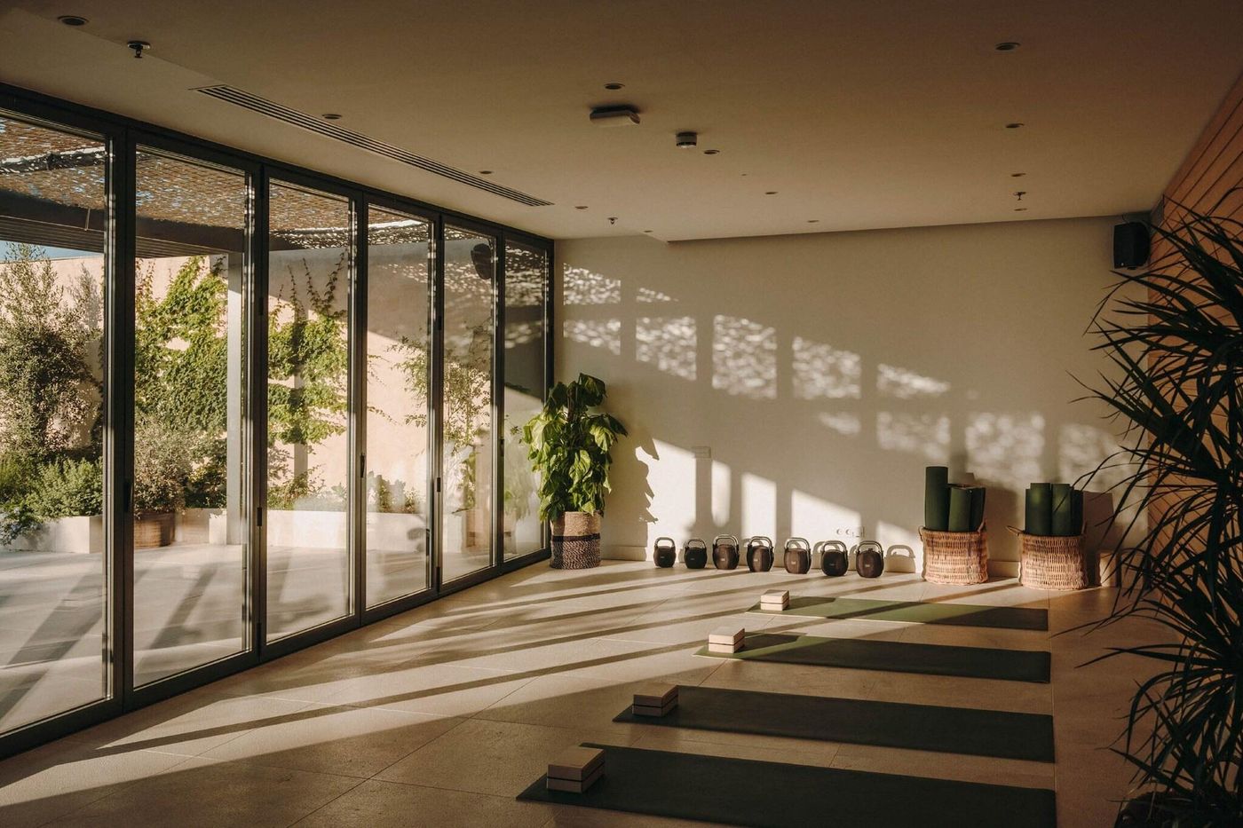 Sabatic--Sitges--Autograph-Collection-Sports-and-Entertainment-55