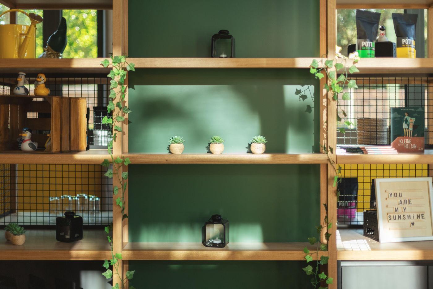 the-niu-Dwarf-General-view-34