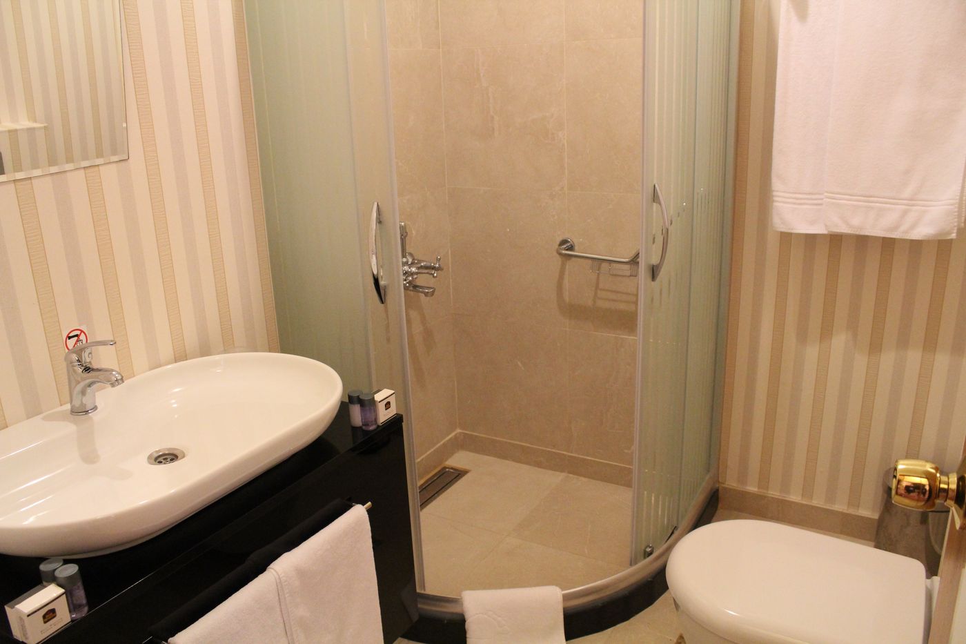 Bakirkoy Tashan Business & Airport Hotel-Turkey-ISTANBUL-Room-8