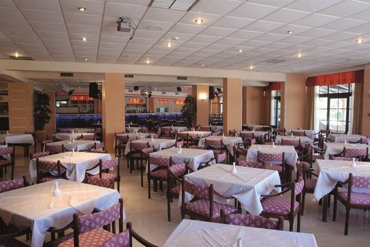 Alexander-The-Great---Laganas-Restaurant-23