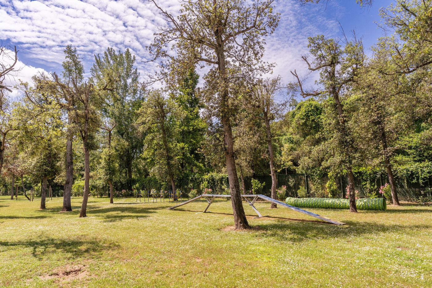 Club-del-Sole-Viareggio-Family-Collection-Sports-and-Entertainment-71