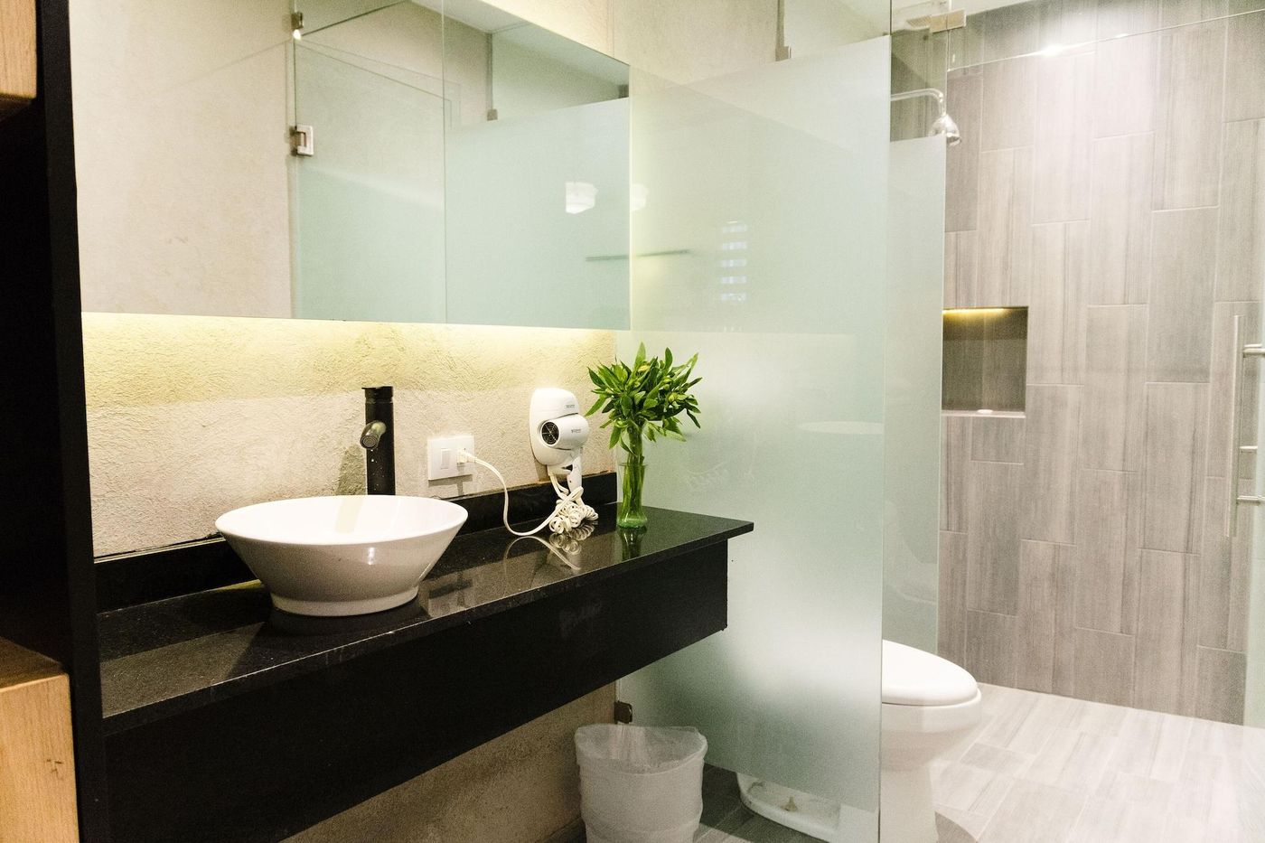 Casa Panuco-Mexico-Mexico City-Room-9