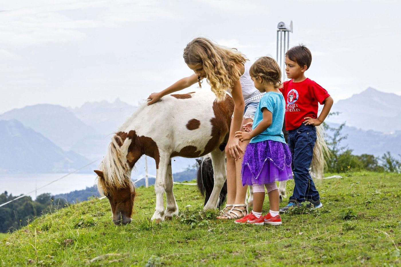 Hotel Sonnenberg-Switzerland-KRIENS-General view-4
